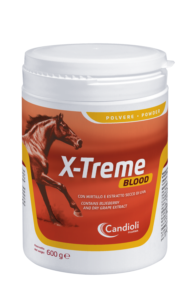 X-Treme Blood 600 gr. Integratore per il miglioramento dei globuli rossi