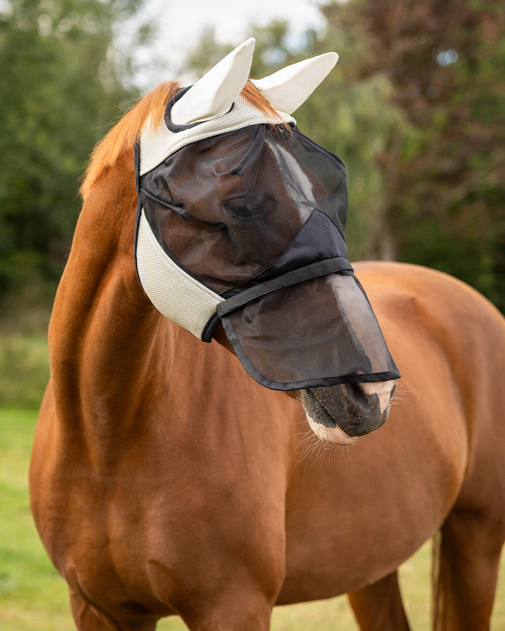 MASCHERA RETE E MESH ANTIMOSCHE QHP