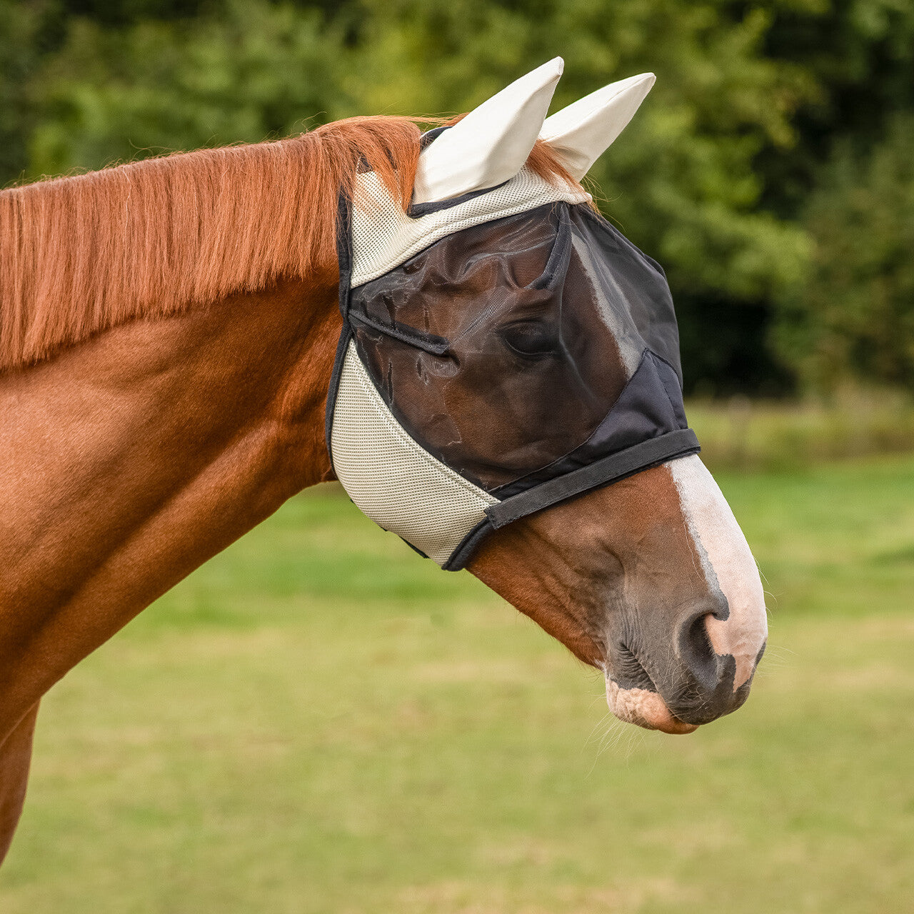 MASCHERA RETE E MESH ANTIMOSCHE QHP