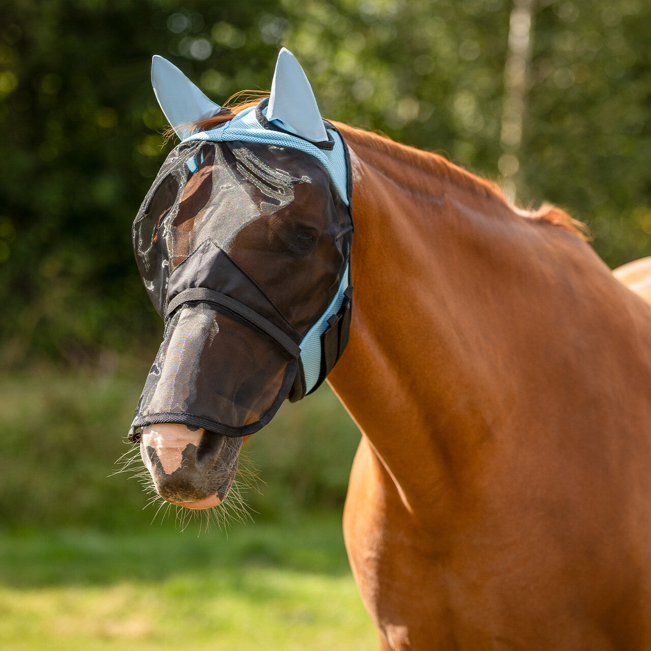 MASCHERA RETE E MESH ANTIMOSCHE QHP