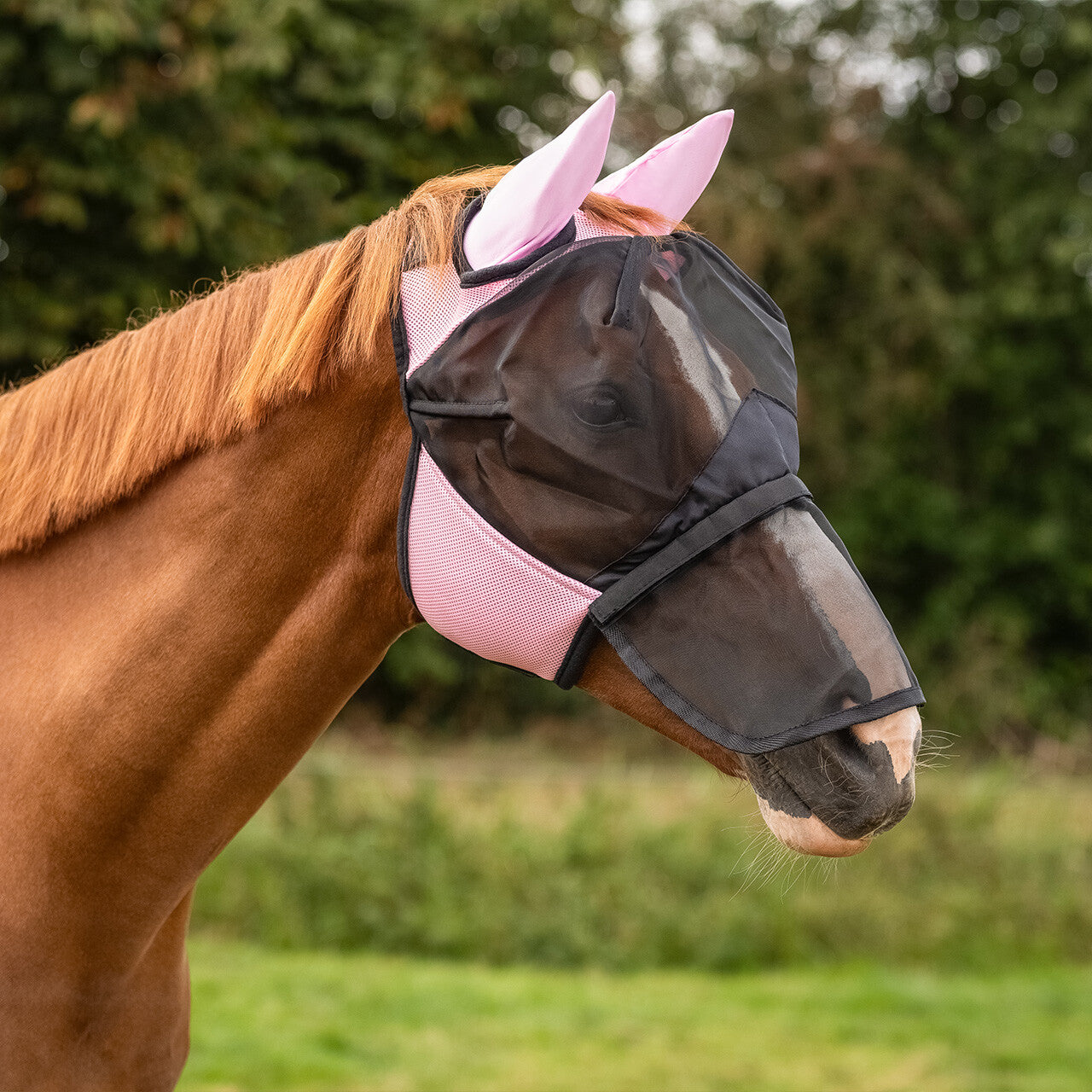 MASCHERA RETE E MESH ANTIMOSCHE QHP
