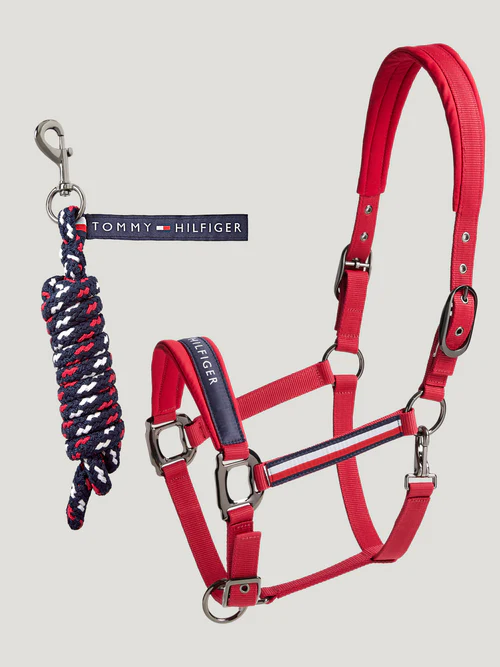 Cavezza Tommy equestrian