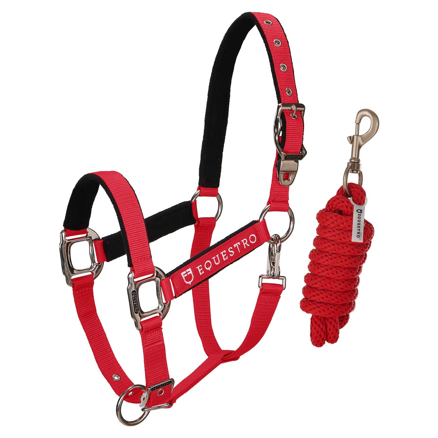CAVEZZA EQUESTRO E LUNGHINA