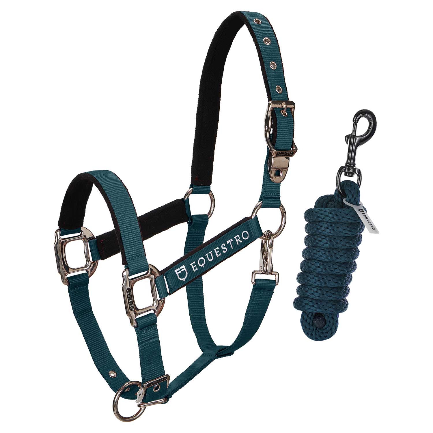 CAVEZZA EQUESTRO E LUNGHINA