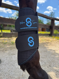 Horse Sense summer front