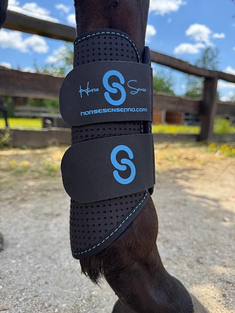 Horse Sense summer front