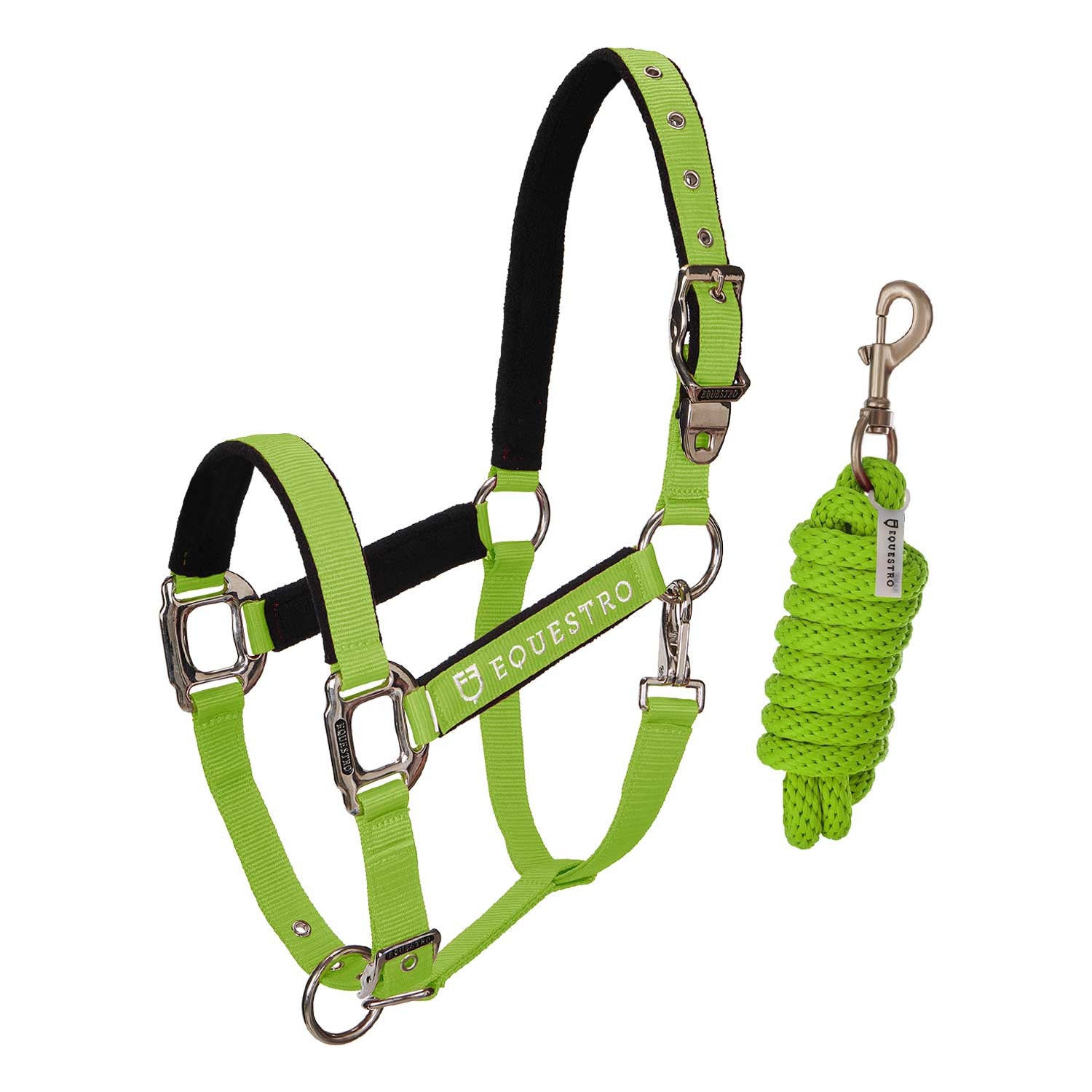 CAVEZZA EQUESTRO E LUNGHINA