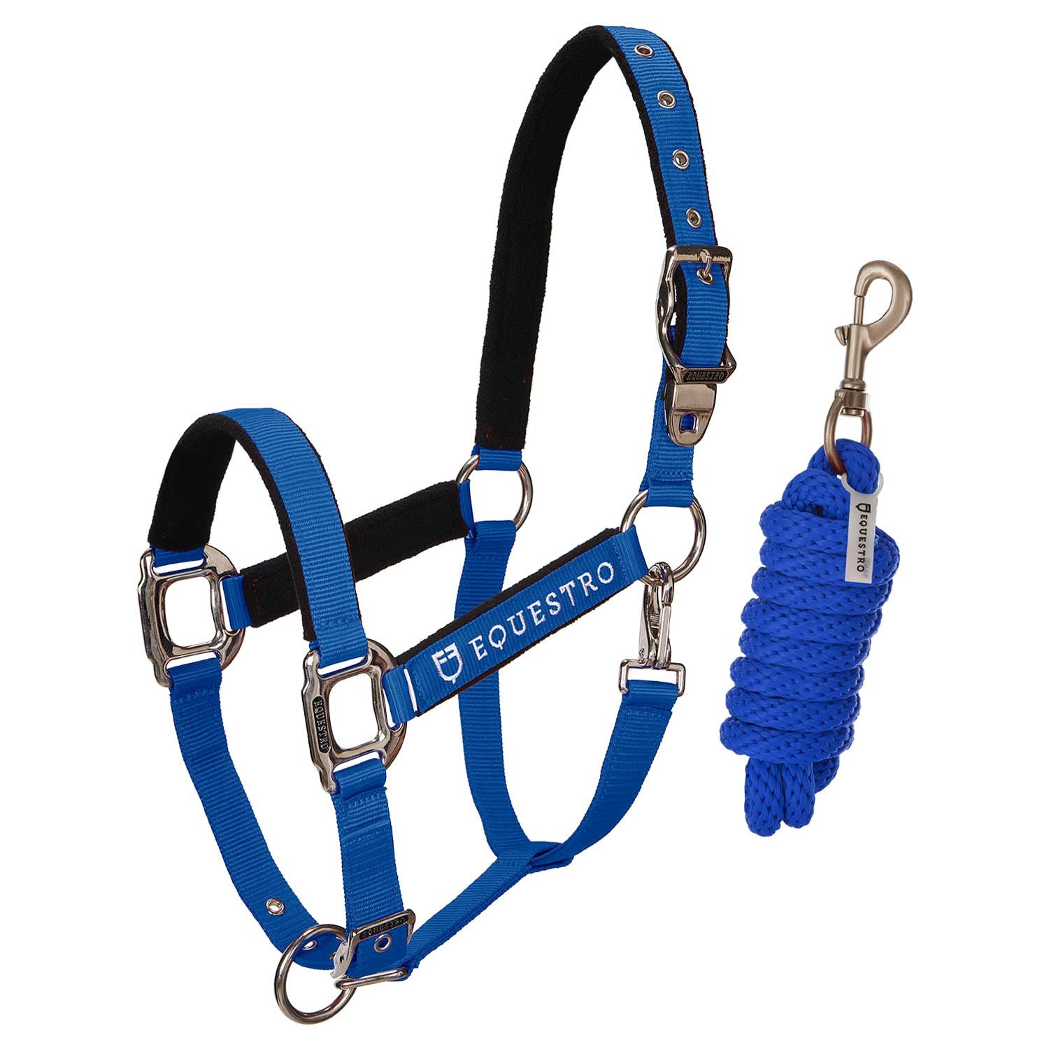 CAVEZZA EQUESTRO E LUNGHINA