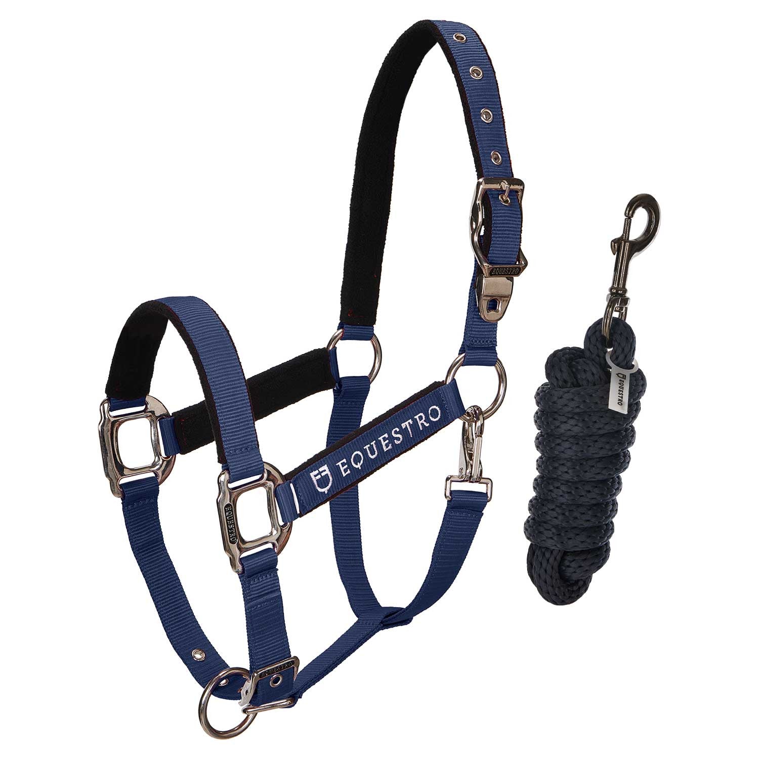 CAVEZZA EQUESTRO E LUNGHINA
