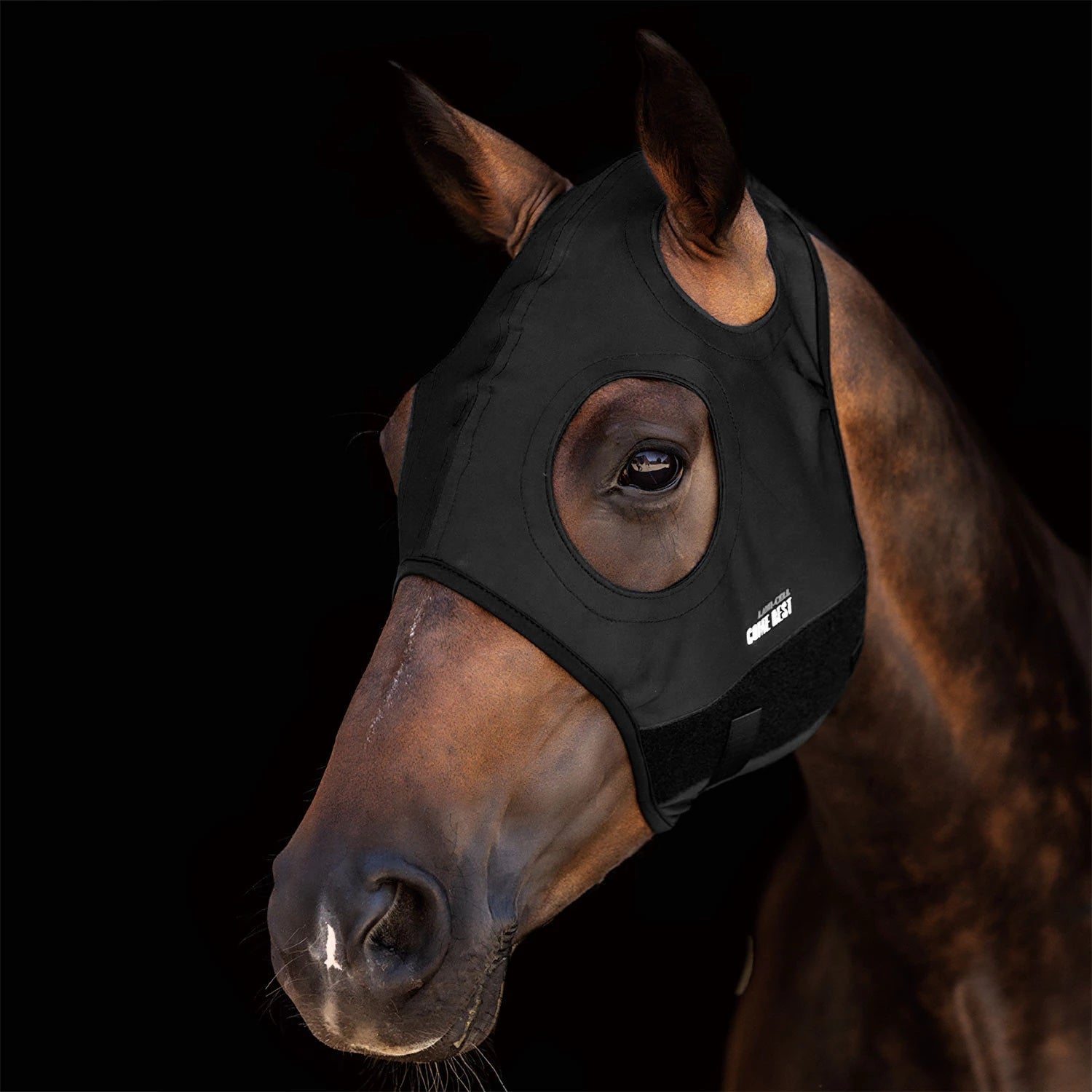 MASCHERA TITANIO SENZA ORECCHIE
