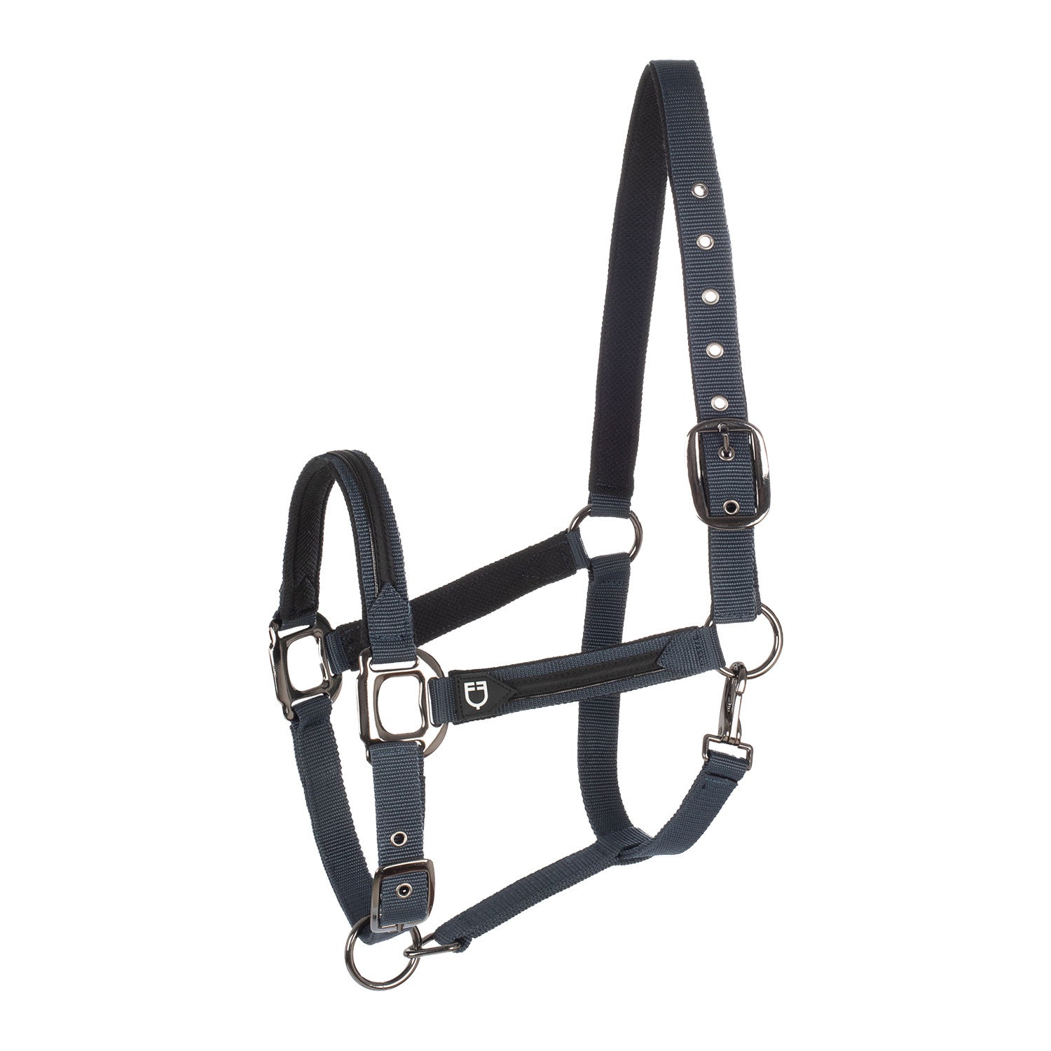 Cavezza e lunghina EQUESTRO imbottitura pile