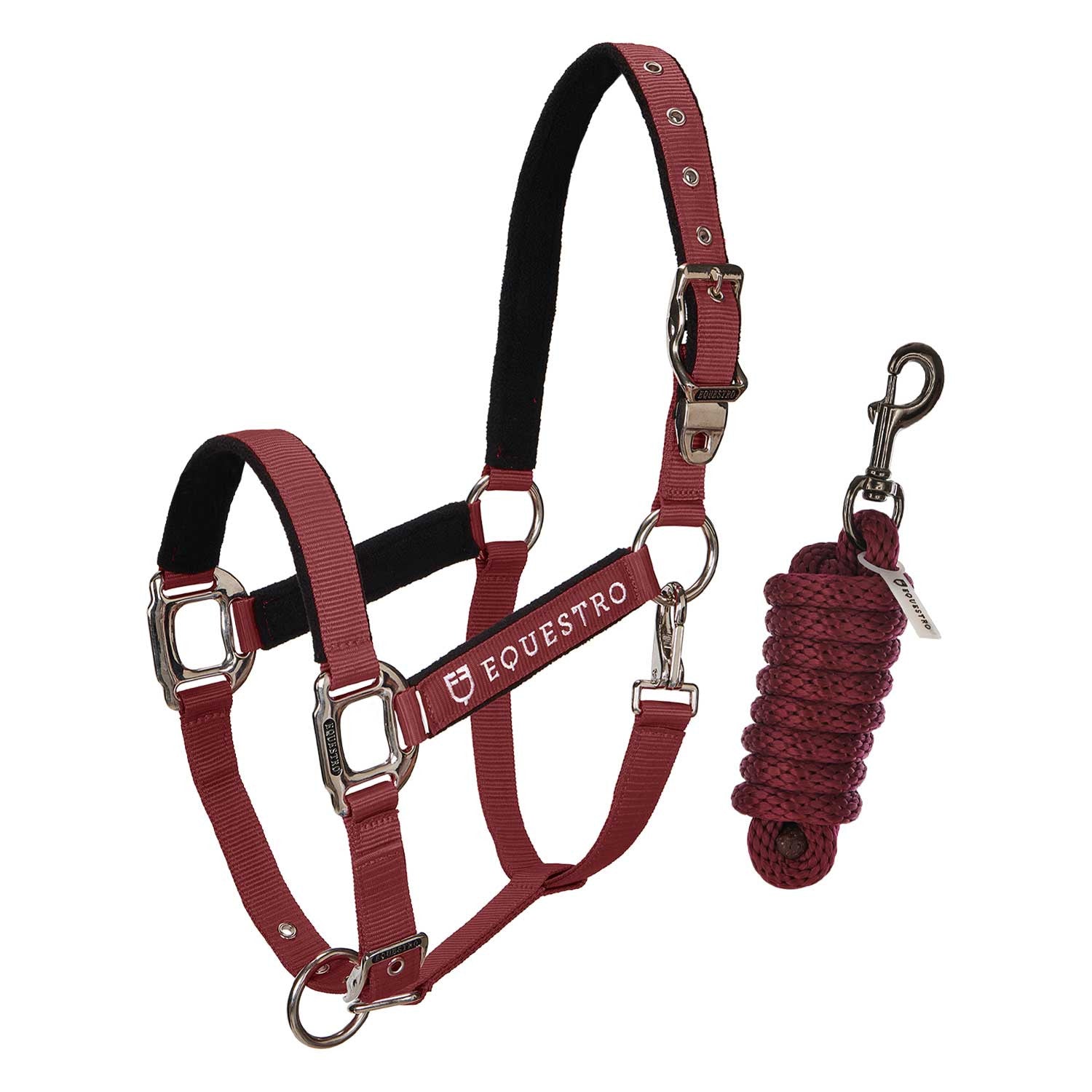 CAVEZZA EQUESTRO E LUNGHINA