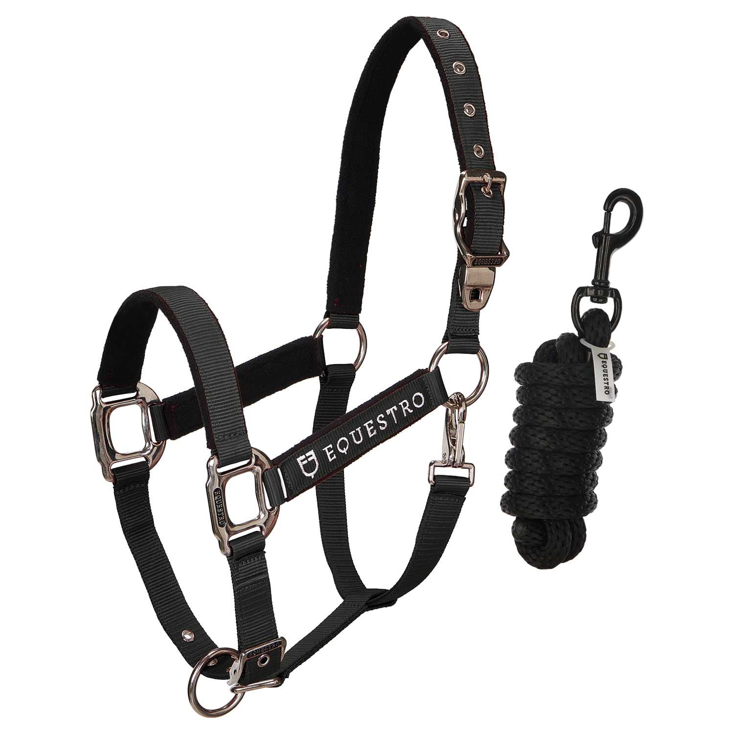 CAVEZZA EQUESTRO E LUNGHINA