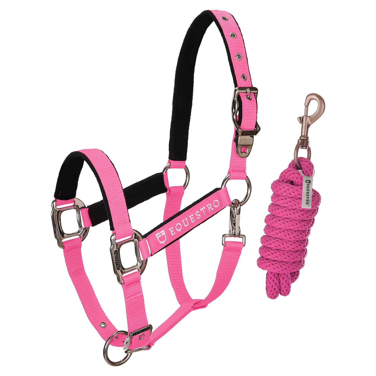 CAVEZZA EQUESTRO E LUNGHINA