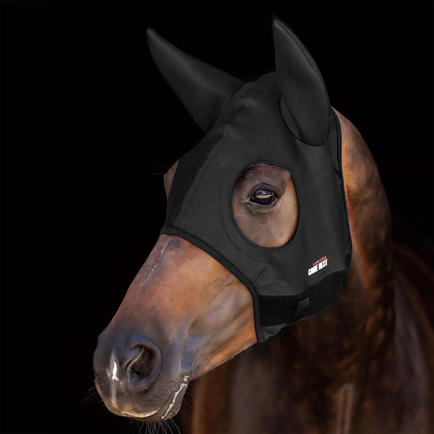 MASCHERA TITANIO con ORECCHIE